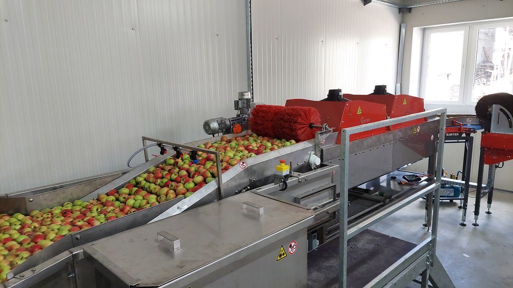 maszyny do sortowania owoców i warzyw sorter