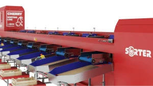 Czerwona zautomatyzowana maszyna do sortowania wiśni z wieloma tacami i przenośnikami taśmowymi do sortowania wiśni, oznaczona CHERRY SORTING LINE i SORTER, z koszami poniżej na zebrane owoce.
