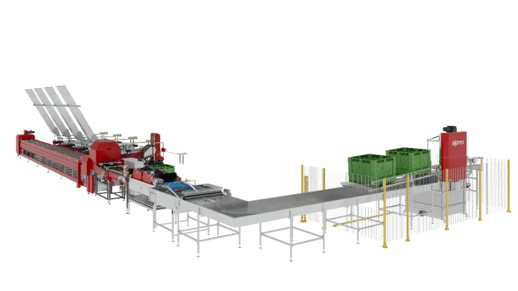 Zautomatyzowana przemysłowa maszyna pakująca z systemem przenośników taśmowych, czerwonymi i srebrnymi elementami, przetwarzająca i układająca zielone skrzynki, otoczona ogrodzeniem ochronnym.