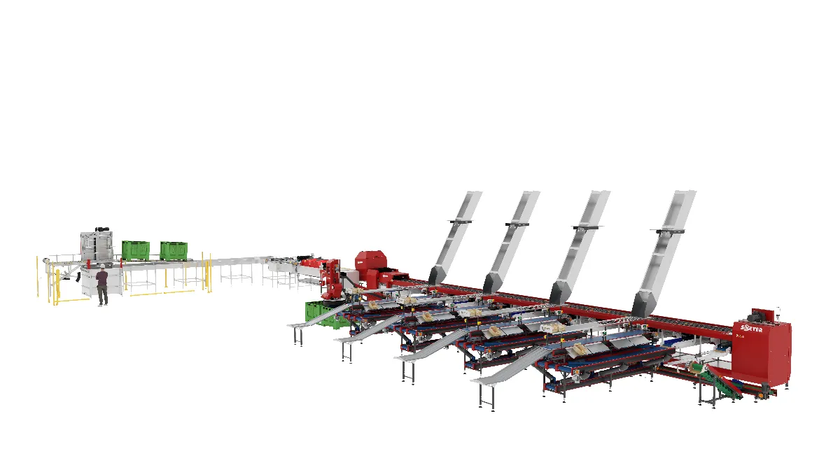 Linia produkcyjna w fabryce z przenośnikami taśmowymi, maszynami w kolorze czerwonym i zielonym oraz zsypami do sortowania; osoba stoi w pobliżu panelu sterowania i zielonych pojemników po lewej stronie.