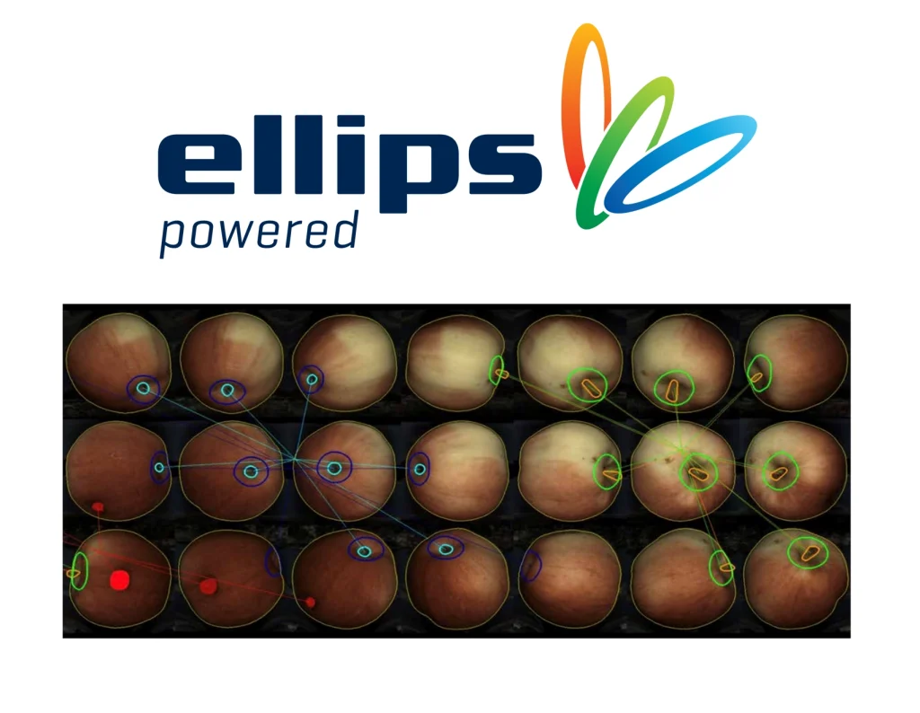 El logotipo, impulsado por elipsis, se sitúa sobre una cuadrícula de imágenes retinianas con círculos de colores y marcas que resaltan áreas específicas en cada retina.